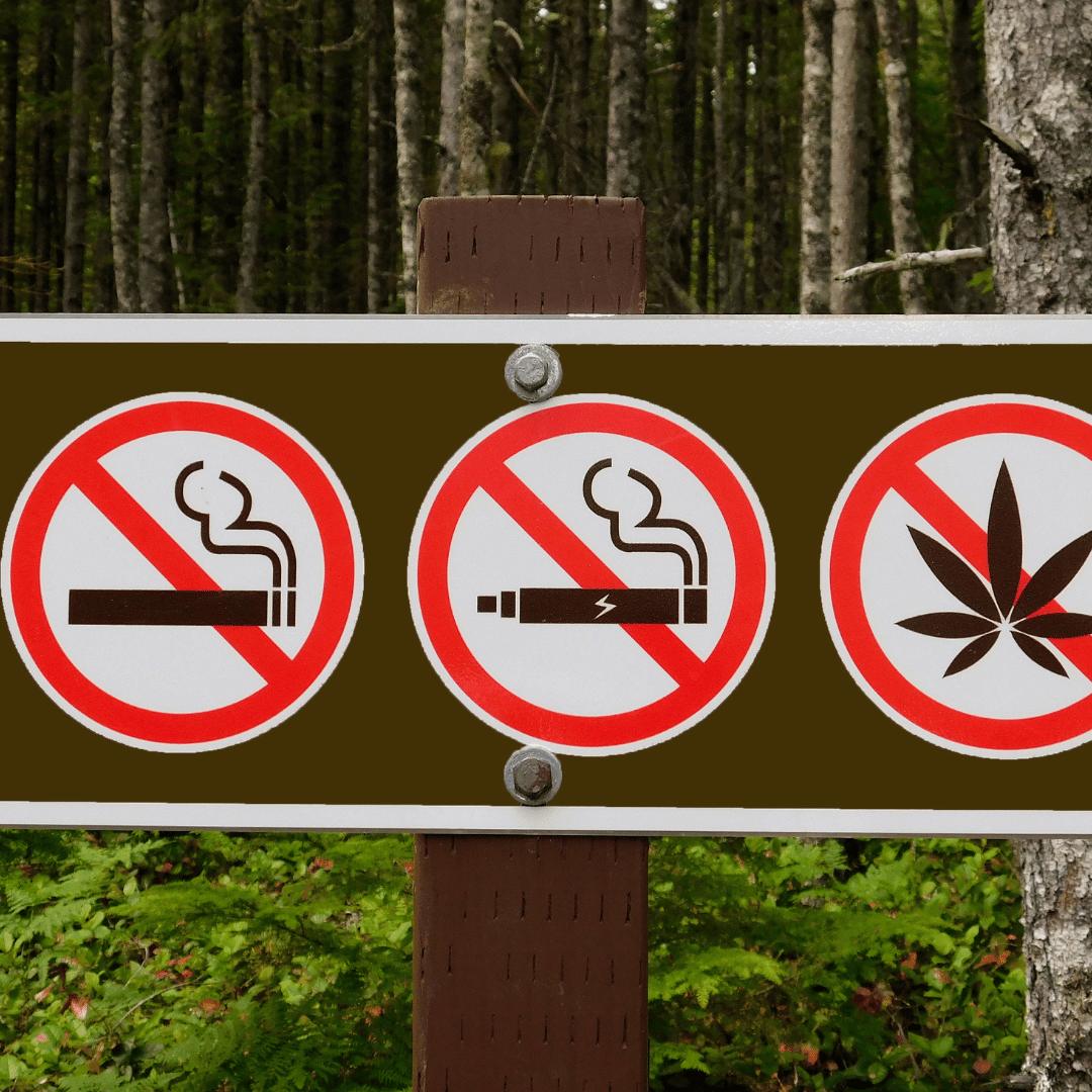 Cannabis-Gesetze in Deutschland: Ein umfassender Überblick