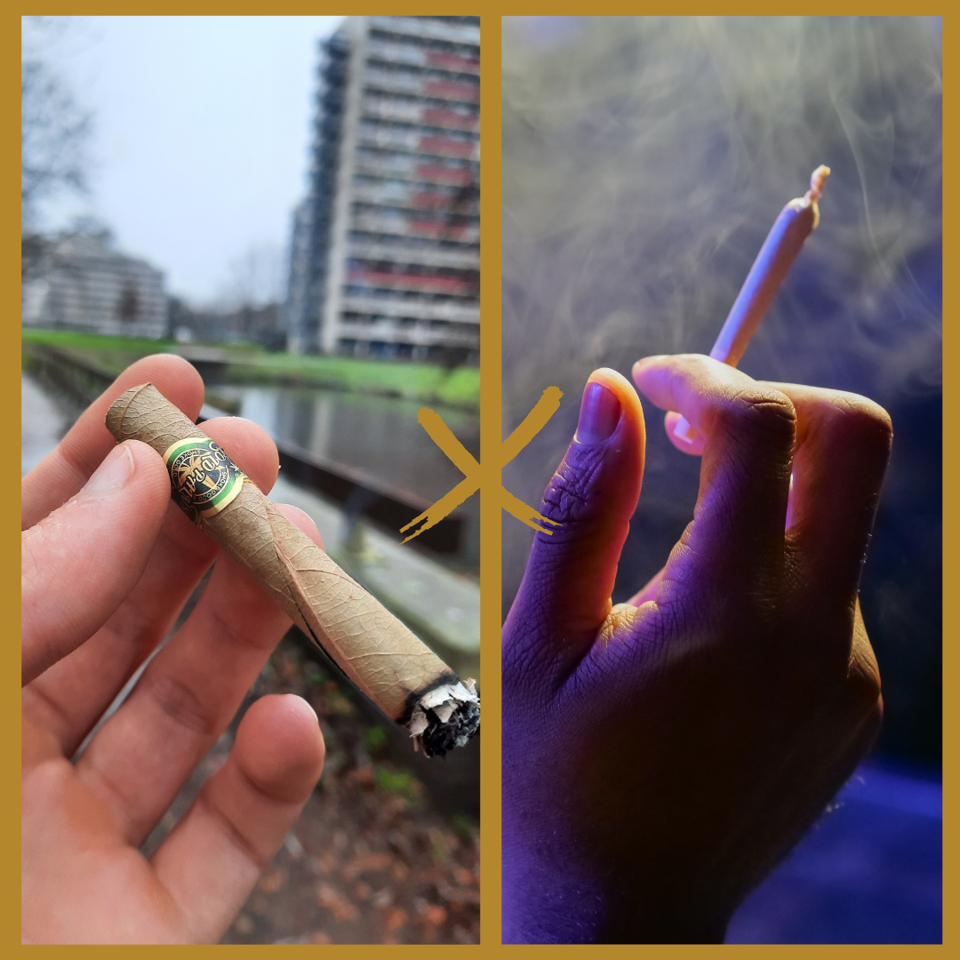 Vorteile Gold Palms Blunts im Vergleich mit normalen Joint Papers