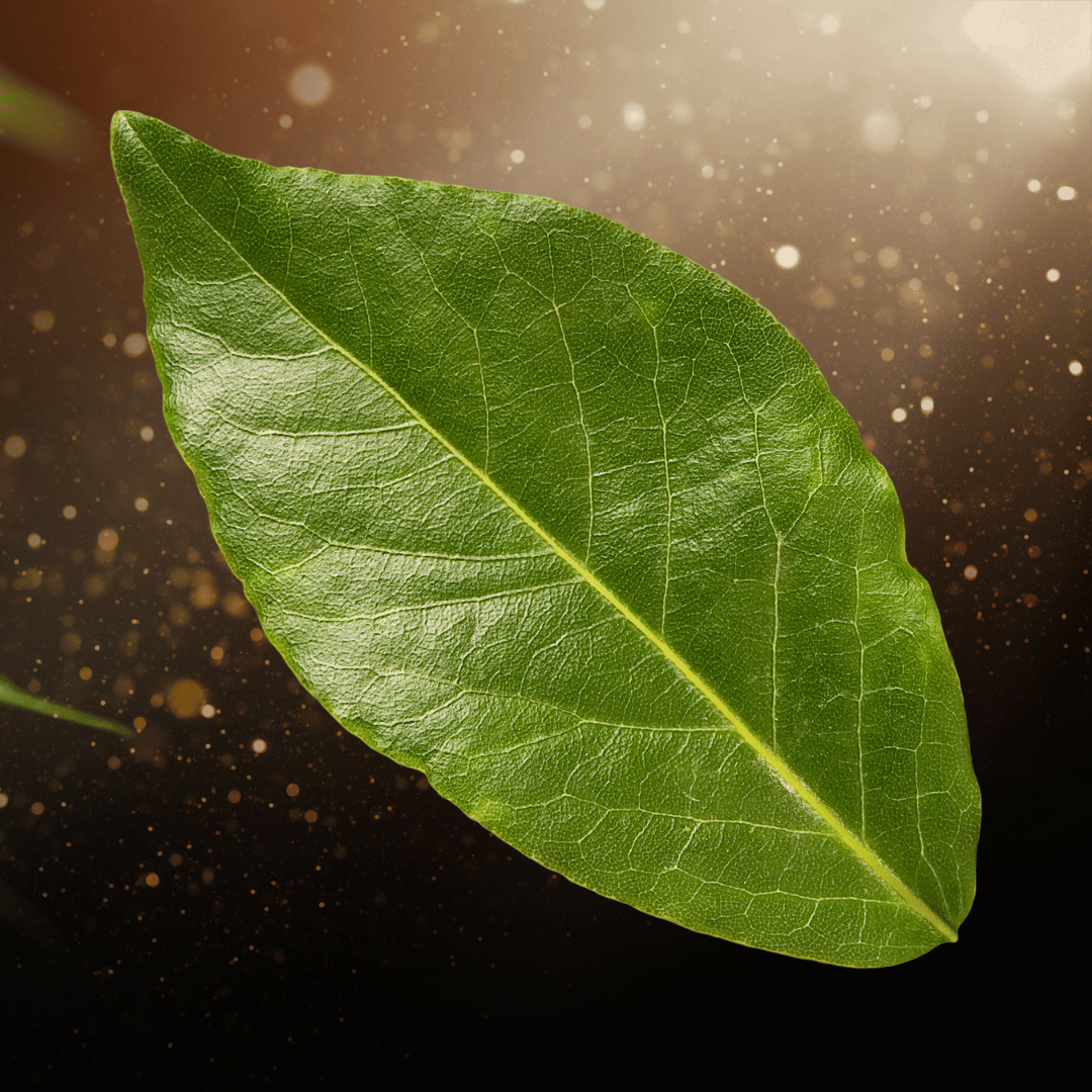 Gold Palms Geheimnis: Die Faszination der Wertvollen Flavone in Tendublättern