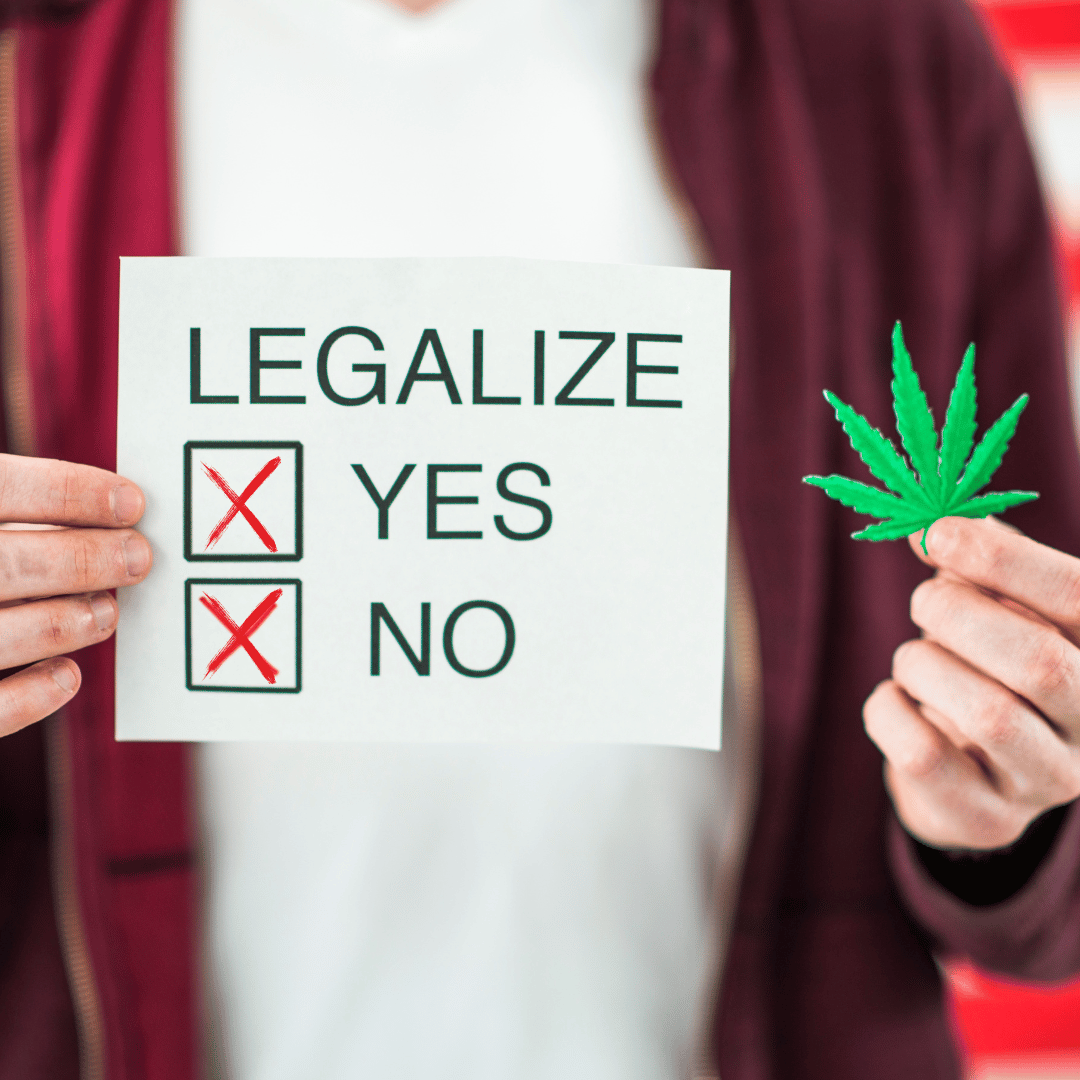 Cannabis in Deutschland: Legalisierung, Chancen und Gold Palms als perfekte Begleiter!