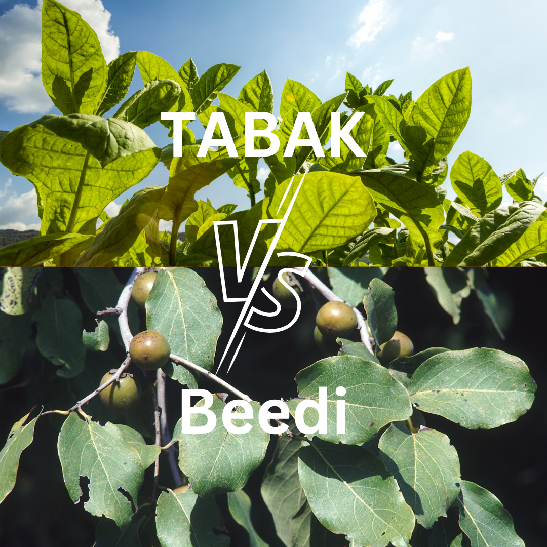 Die Vorteile von Tendublättern für eine gesündere Raucherfahrung