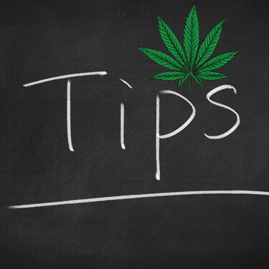 Tipps für Anfänger im Cannabis-Genuss: Sicher und entspannt einsteigen