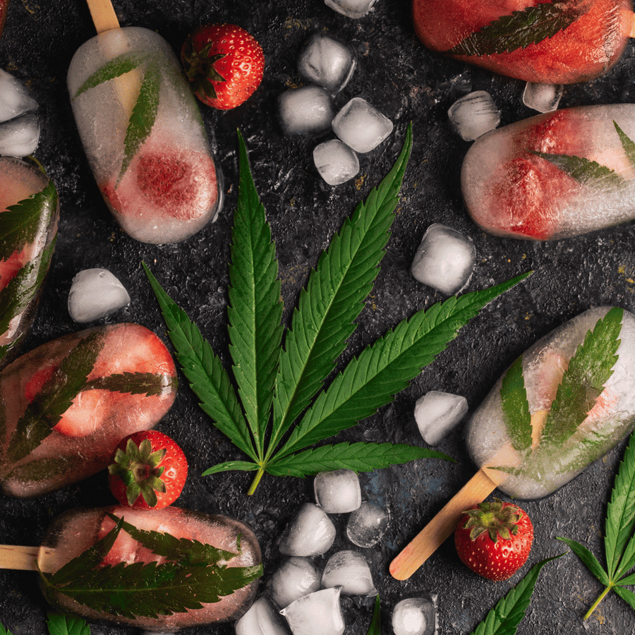 Die Faszinierende Reise durch Die Faszinierende Reise durch die Geschichte der Cannabiskulturdie Geschichte der Cannabiskultur