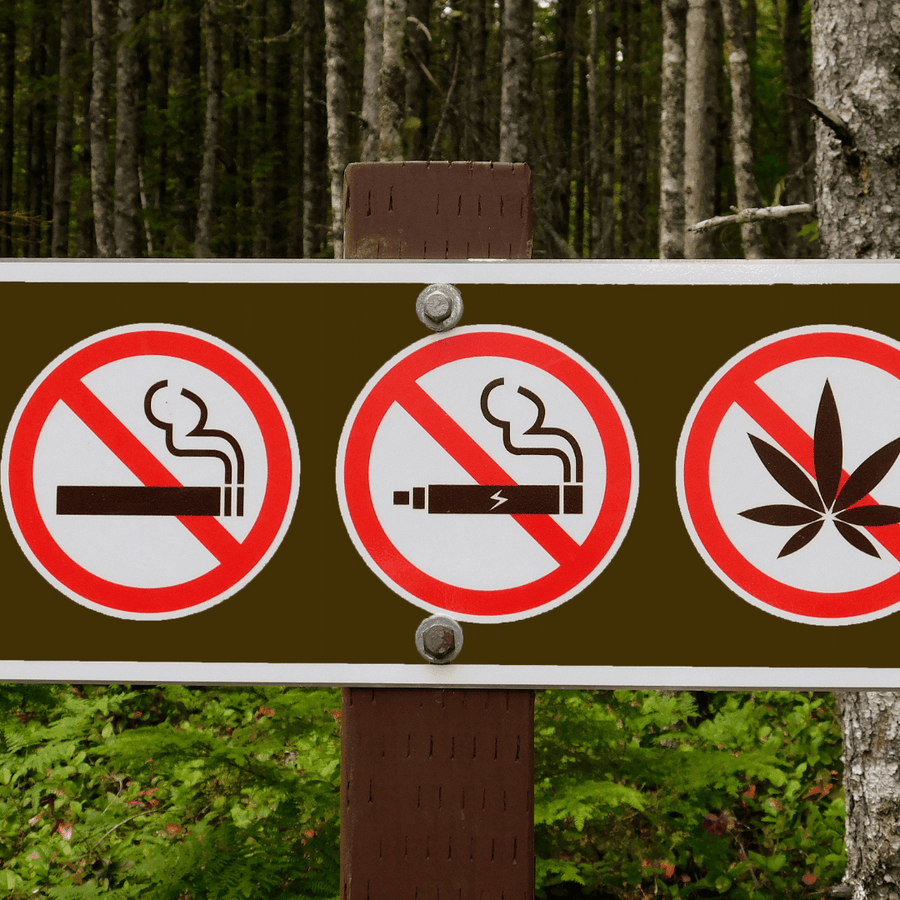 Cannabis-Gesetze in Deutschland: Ein umfassender Überblick