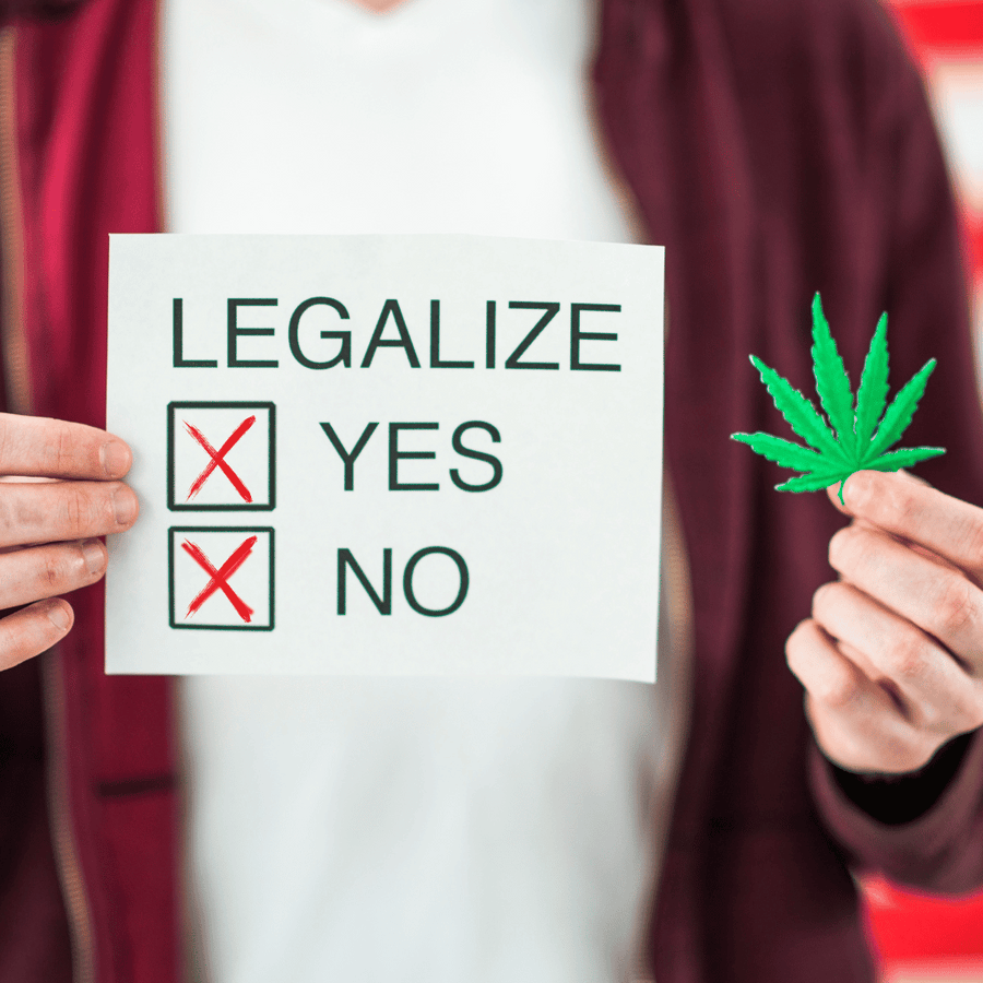 Cannabis in Deutschland: Legalisierung, Chancen und Gold Palms als perfekte Begleiter!