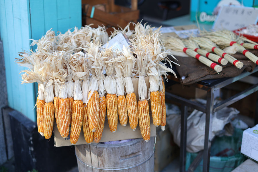 Corn Husk: Maisblatthüllen & ihre Verwendung | GOLD PALMS®
