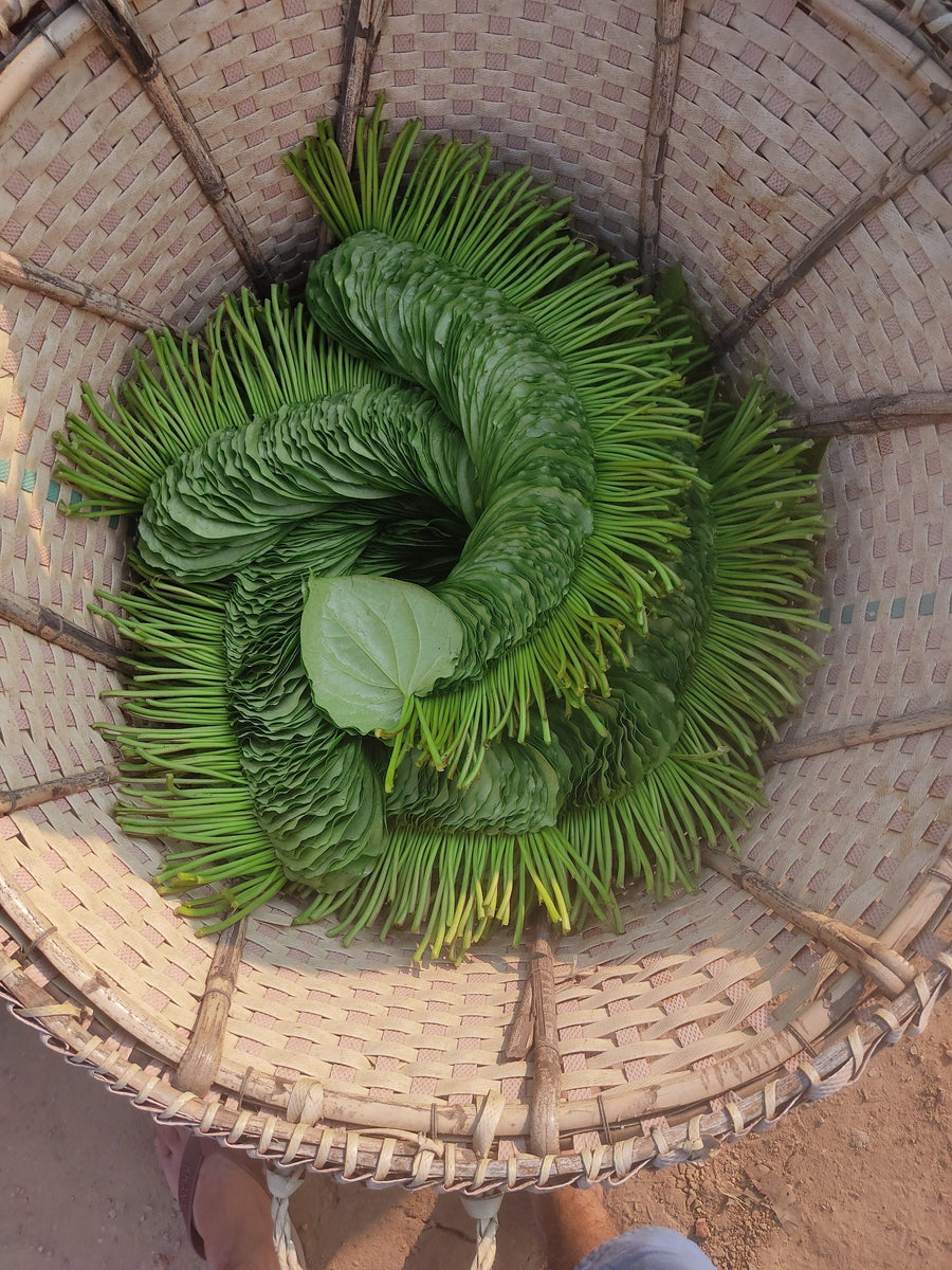 Botanical Wrapping: Pflanzenblätter & Materialien | GOLD PALMS®