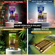 GOLD PALMS®Beedi Blunt Wraps - 2er Pack - 100% Organic