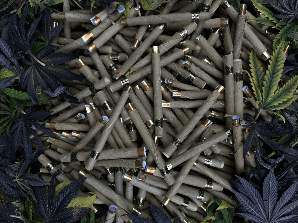 GOLD PALMS® – Das Blatt, Bild 2