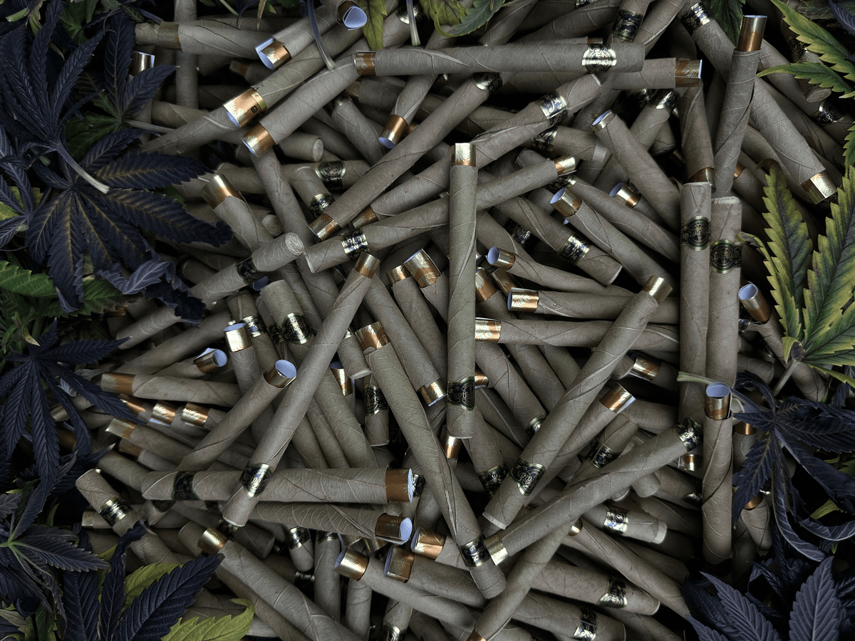 GOLD PALMS® – Das Blatt, Bild 1