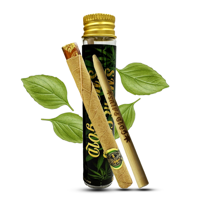 Geschlossene Gold Palms Prince Size Tube, präsentiert die elegante goldene Aluminiumkappe und das transparente Qualitätsglas.
