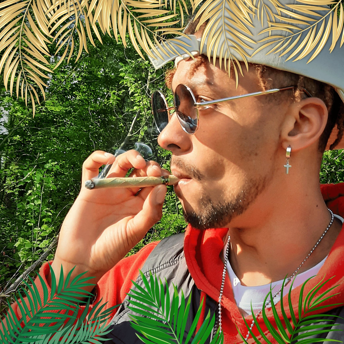 Informationsgrafik über die Herkunft und Qualität der Tendublätter, verwendet in den Gold Palms Blunt Wraps